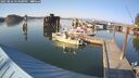 ./images/quadra/hbidock/20250826/hbidock20250826_174500M.jpg