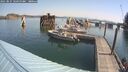 ./images/quadra/hbidock/20250827/hbidock20250827_103500M.jpg
