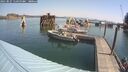 ./images/quadra/hbidock/20250827/hbidock20250827_110500M.jpg