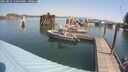./images/quadra/hbidock/20250827/hbidock20250827_113500M.jpg