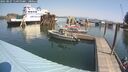 ./images/quadra/hbidock/20250827/hbidock20250827_115000M.jpg