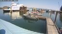 ./images/quadra/hbidock/20250827/hbidock20250827_115011M.jpg