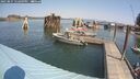 ./images/quadra/hbidock/20250827/hbidock20250827_122009M.jpg