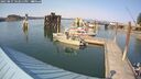 ./images/quadra/hbidock/20250827/hbidock20250827_162011M.jpg