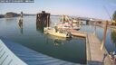./images/quadra/hbidock/20250827/hbidock20250827_170507M.jpg