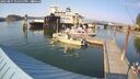 ./images/quadra/hbidock/20250827/hbidock20250827_171512M.jpg