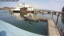 ./images/quadra/hbidock/20250828/hbidock20250828_115500M.jpg