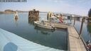 ./images/quadra/hbidock/20250828/hbidock20250828_122500M.jpg