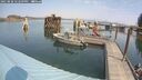 ./images/quadra/hbidock/20250828/hbidock20250828_122509M.jpg