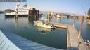 ./images/quadra/hbidock/20250828/hbidock20250828_165500M.jpg
