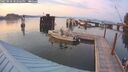 ./images/quadra/hbidock/20250828/hbidock20250828_202506M.jpg