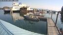 ./images/quadra/hbidock/20250829/hbidock20250829_100012M.jpg