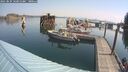 ./images/quadra/hbidock/20250829/hbidock20250829_103011M.jpg