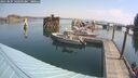 ./images/quadra/hbidock/20250829/hbidock20250829_105009M.jpg