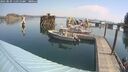 ./images/quadra/hbidock/20250829/hbidock20250829_110510M.jpg