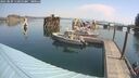 ./images/quadra/hbidock/20250829/hbidock20250829_111010M.jpg
