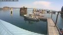 ./images/quadra/hbidock/20250829/hbidock20250829_111511M.jpg