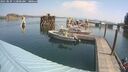 ./images/quadra/hbidock/20250829/hbidock20250829_112001M.jpg