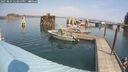 ./images/quadra/hbidock/20250829/hbidock20250829_123500M.jpg