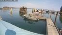 ./images/quadra/hbidock/20250829/hbidock20250829_124500M.jpg