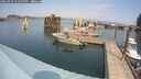 ./images/quadra/hbidock/20250829/hbidock20250829_134000M.jpg