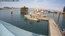 ./images/quadra/hbidock/20250829/hbidock20250829_144500M.jpg