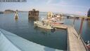 ./images/quadra/hbidock/20250829/hbidock20250829_144511M.jpg