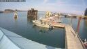 ./images/quadra/hbidock/20250829/hbidock20250829_145510M.jpg