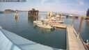 ./images/quadra/hbidock/20250829/hbidock20250829_151000M.jpg