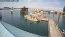 ./images/quadra/hbidock/20250829/hbidock20250829_152500M.jpg