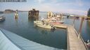 ./images/quadra/hbidock/20250829/hbidock20250829_152510M.jpg