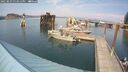 ./images/quadra/hbidock/20250829/hbidock20250829_153012M.jpg