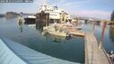 ./images/quadra/hbidock/20250829/hbidock20250829_155000M.jpg