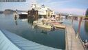 ./images/quadra/hbidock/20250829/hbidock20250829_155011M.jpg