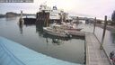 ./images/quadra/hbidock/20250830/hbidock20250830_080500M.jpg