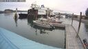 ./images/quadra/hbidock/20250830/hbidock20250830_080510M.jpg