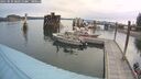 ./images/quadra/hbidock/20250830/hbidock20250830_082510M.jpg