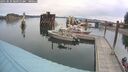 ./images/quadra/hbidock/20250830/hbidock20250830_085010M.jpg