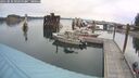 ./images/quadra/hbidock/20250830/hbidock20250830_090500M.jpg