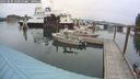 ./images/quadra/hbidock/20250830/hbidock20250830_101011M.jpg