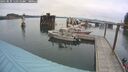 ./images/quadra/hbidock/20250830/hbidock20250830_110510M.jpg