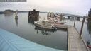 ./images/quadra/hbidock/20250830/hbidock20250830_112008M.jpg
