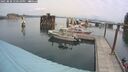 ./images/quadra/hbidock/20250830/hbidock20250830_120510M.jpg