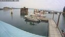 ./images/quadra/hbidock/20250830/hbidock20250830_122000M.jpg