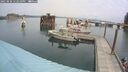 ./images/quadra/hbidock/20250830/hbidock20250830_122010M.jpg