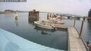./images/quadra/hbidock/20250830/hbidock20250830_123000M.jpg