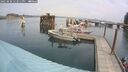 ./images/quadra/hbidock/20250830/hbidock20250830_123011M.jpg