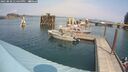 ./images/quadra/hbidock/20250830/hbidock20250830_134500M.jpg