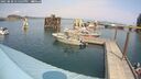 ./images/quadra/hbidock/20250830/hbidock20250830_135500M.jpg