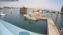 ./images/quadra/hbidock/20250830/hbidock20250830_135510M.jpg
